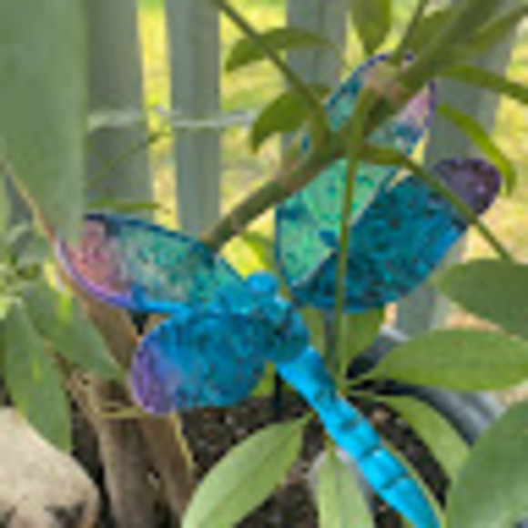 Meet your Posher, Jaqueline mae - Picture 6 of 11